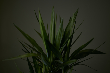 _15A9032